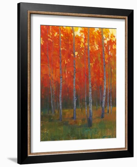 Changing Colors II-Tim O'toole-Framed Art Print