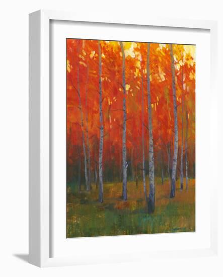 Changing Colors II-Tim O'toole-Framed Art Print