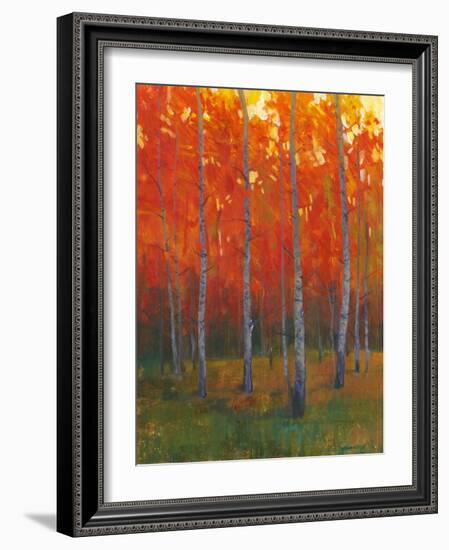 Changing Colors II-Tim O'toole-Framed Art Print