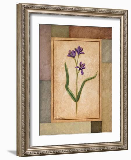 Changing Colors II-Michael Marcon-Framed Art Print