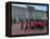 Changing of the Guard, Buckingham Palace, London, England, United Kingdom, Europe-Alan Copson-Framed Premier Image Canvas