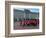 Changing of the Guard, Buckingham Palace, London, England, United Kingdom, Europe-Alan Copson-Framed Photographic Print