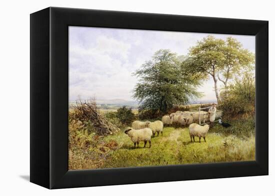 Changing Pastures-George Shalders-Framed Premier Image Canvas