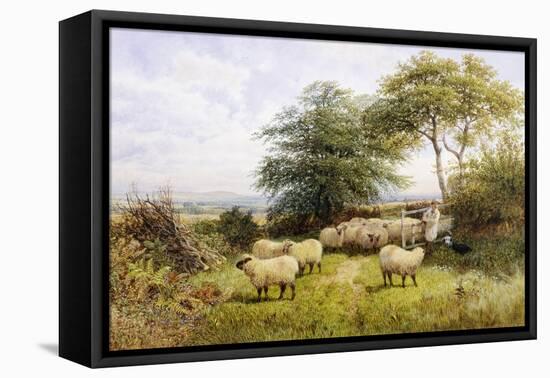 Changing Pastures-George Shalders-Framed Premier Image Canvas