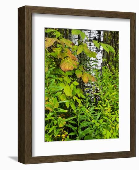 Changing seasons in Upper Michigan-Terry Eggers-Framed Photographic Print