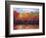 Changing Seasons-Tim Howe-Framed Giclee Print