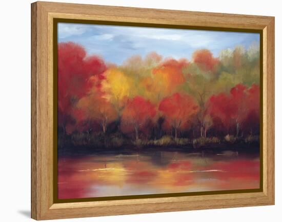 Changing Seasons-Tim Howe-Framed Premier Image Canvas