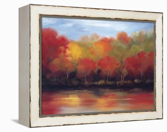 Changing Seasons-Tim Howe-Framed Premier Image Canvas