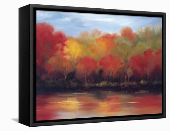 Changing Seasons-Tim Howe-Framed Premier Image Canvas
