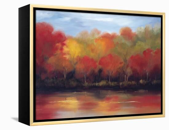 Changing Seasons-Tim Howe-Framed Premier Image Canvas