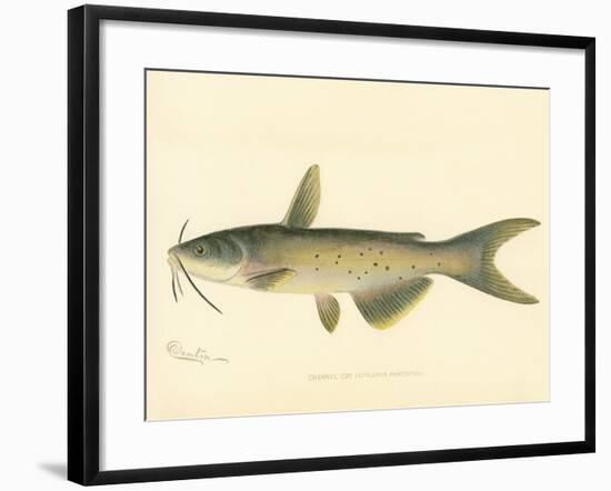 Channel Cat-null-Framed Giclee Print