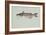 Channel Catfish-null-Framed Giclee Print