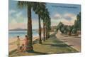 Premium Giclee Print