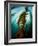 Channel Islands National Park, California: the View Underwater Off Anacapa Island of a Kelp Forest-Ian Shive-Framed Photographic Print