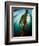 Channel Islands National Park, California: the View Underwater Off Anacapa Island of a Kelp Forest-Ian Shive-Framed Photographic Print