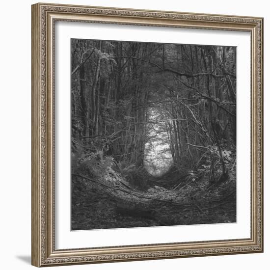 Channel-Tomislav Bogovic-Framed Photographic Print