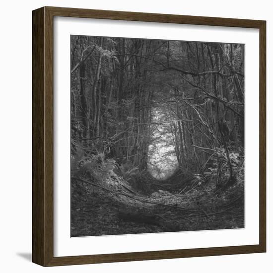 Channel-Tomislav Bogovic-Framed Photographic Print