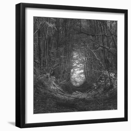 Channel-Tomislav Bogovic-Framed Photographic Print