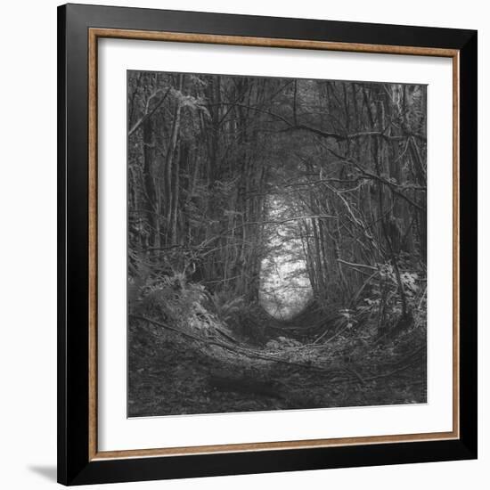 Channel-Tomislav Bogovic-Framed Photographic Print