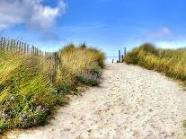 Path in the Dunes Going to the Seaside-Chantal de Bruijne-Framed Premier Image Canvas