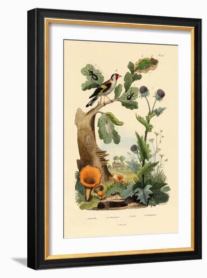 Chanterelle, 1833-39-null-Framed Giclee Print