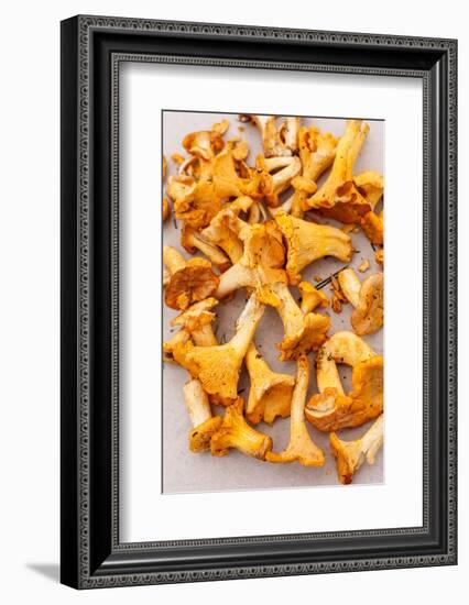 Chanterelle Mushrooms-maksheb-Framed Photographic Print