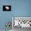 Chaos: Motivationsposter Mit Inspirierendem Zitat-null-Mounted Photographic Print displayed on a wall