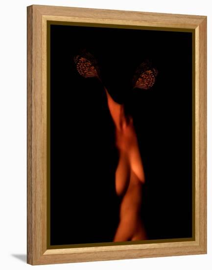 Chaos Theory and Lorenz Butterflies-Katherine Sanderson-Framed Premier Image Canvas