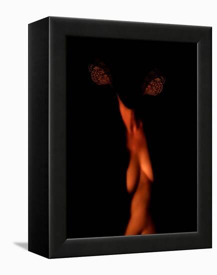 Chaos Theory and Lorenz Butterflies-Katherine Sanderson-Framed Premier Image Canvas