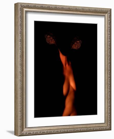 Chaos Theory and Lorenz Butterflies-Katherine Sanderson-Framed Photographic Print
