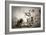 Chaos-Dan Ballard-Framed Photographic Print