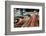 Chaotic Traffic-Koji Tajima-Framed Photographic Print