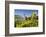 Chapel Creek Winery, El Reno, Oklahoma, USA-Walter Bibikow-Framed Photographic Print