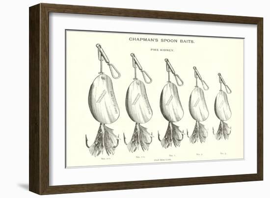 Chapman's Spoon Lures-null-Framed Art Print