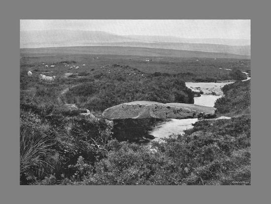 Photographic Print, , large