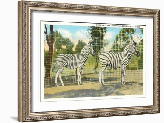 Chapman Zebras, San Diego Zoo-null-Framed Art Print