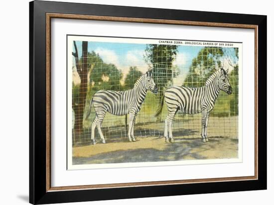 Chapman Zebras, San Diego Zoo-null-Framed Art Print