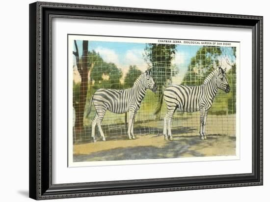 Chapman Zebras, San Diego Zoo-null-Framed Art Print