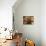 Chapoutier Winery's Barrel Aging Cellar with Oak Casks, Domaine M Chapoutier, Tain L'Hermitage-Per Karlsson-Photographic Print displayed on a wall