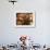 Chapoutier Winery's Barrel Aging Cellar with Oak Casks, Domaine M Chapoutier, Tain L'Hermitage-Per Karlsson-Framed Photographic Print displayed on a wall