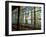 Chapultapec Castle, Gallery of Stained Glass Windows, Mexico-Russell Gordon-Framed Photographic Print