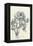 Character Pencils-Walter Simonson-Framed Stretched Canvas