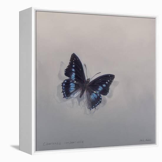 Charaxes imperialis 1, 2014-Odile Kidd-Framed Premier Image Canvas