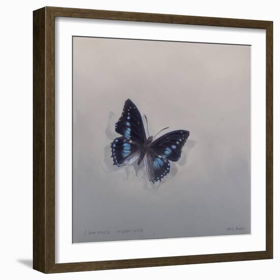 Charaxes imperialis 1, 2014-Odile Kidd-Framed Giclee Print