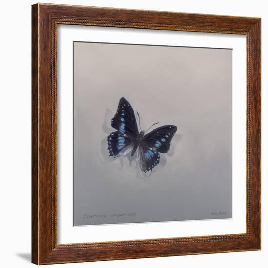 Charaxes imperialis 1, 2014-Odile Kidd-Framed Giclee Print