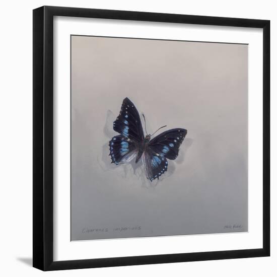 Charaxes imperialis 1, 2014-Odile Kidd-Framed Giclee Print