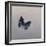 Charaxes imperialis 1, 2014-Odile Kidd-Framed Giclee Print