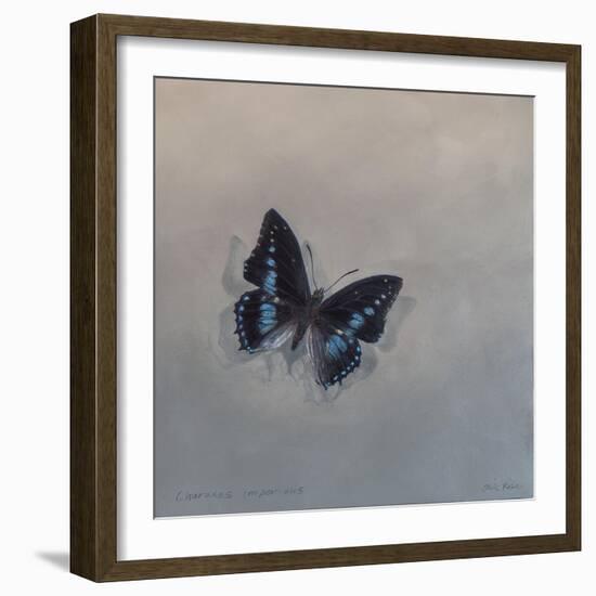 Charaxes imperialis 1, 2014-Odile Kidd-Framed Giclee Print