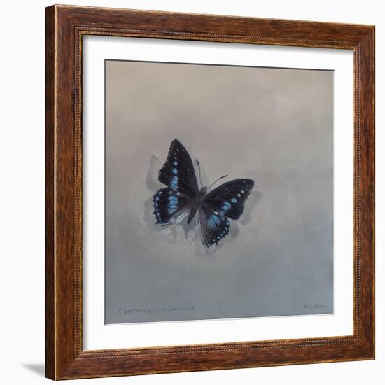 Charaxes imperialis 1, 2014-Odile Kidd-Framed Giclee Print