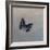 Charaxes imperialis 1, 2014-Odile Kidd-Framed Giclee Print